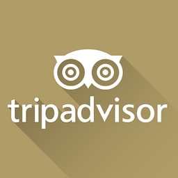 Tripadvisor le esperienze dei viaggiatori sul portal più famoso e più criticato di ogni tempo